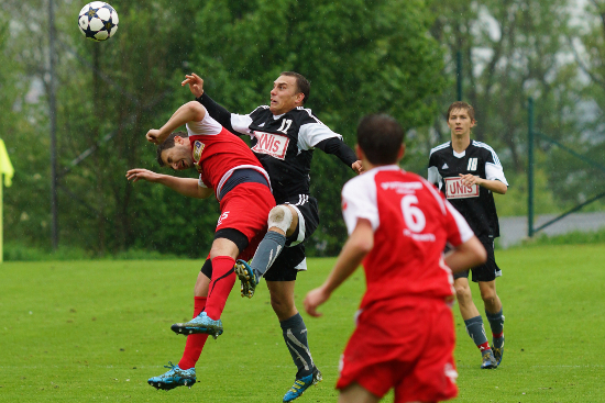 Gschwandt Altmuenster Reischenboeck 110513 (2)