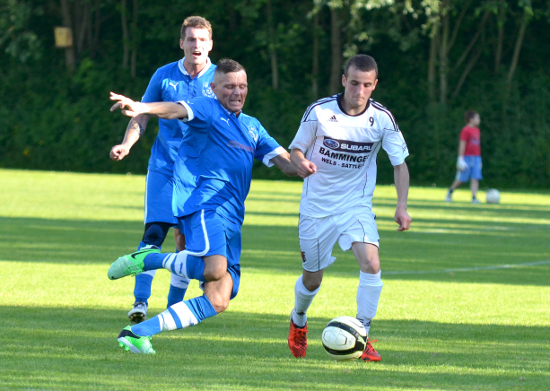 Thalheim Blaue Elf Wels Weinberger 080613 (2)