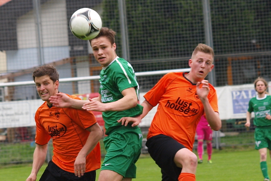 Bruckmuehl Voecklabruck Dannenbaum 280413 (1)