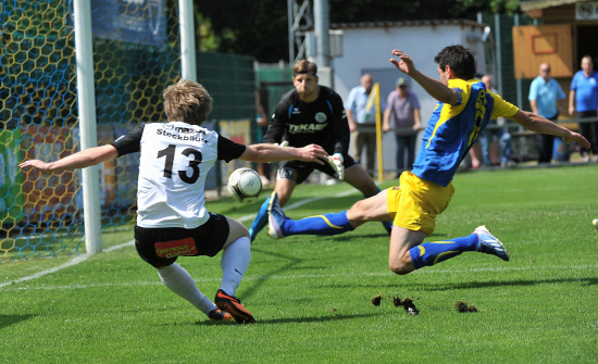 Donau Linz Eferding Dostal 110813 (2)