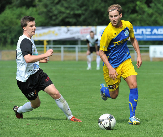 Donau Linz Eferding Dostal 110813 (3)