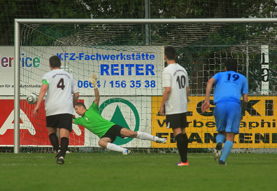 Frankenburg Altmuenster Klein 010513 (7)