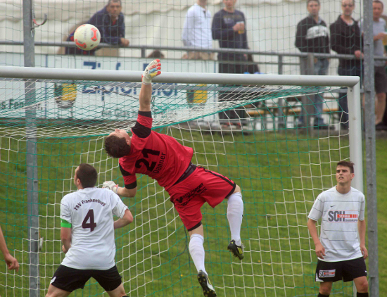 Frankenburg Altmuenster Klein 010513 (8)