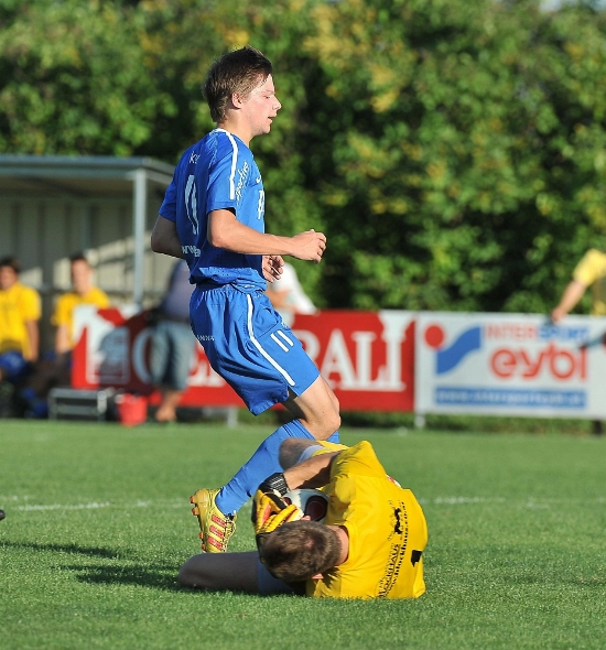 Pichling Gallneukirchen Dostal 180812 (1)