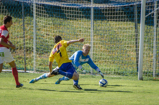 St Martin i M Grieskirchen Haselgruebler 170813 (5)