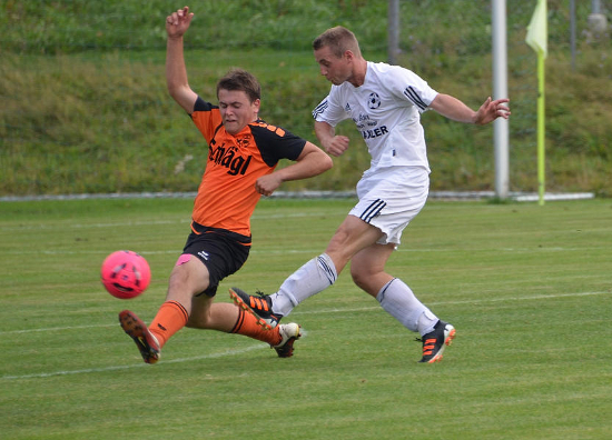 Hellmonsoedt Arnreit Lindorfer 080913 (4)