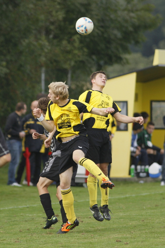 Hofkirchen an der Trattnach Taufkirchen Tr Schroedl 150912 (5)