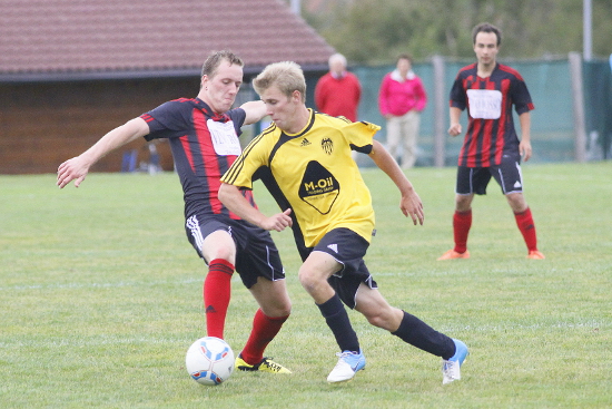 Hofkirchen-Trattnach Ampflwang Schroedl 260812 (3)