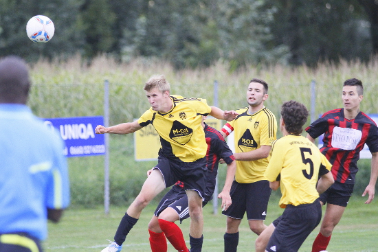 Hofkirchen-Trattnach Ampflwang Schroedl 260812 (5)