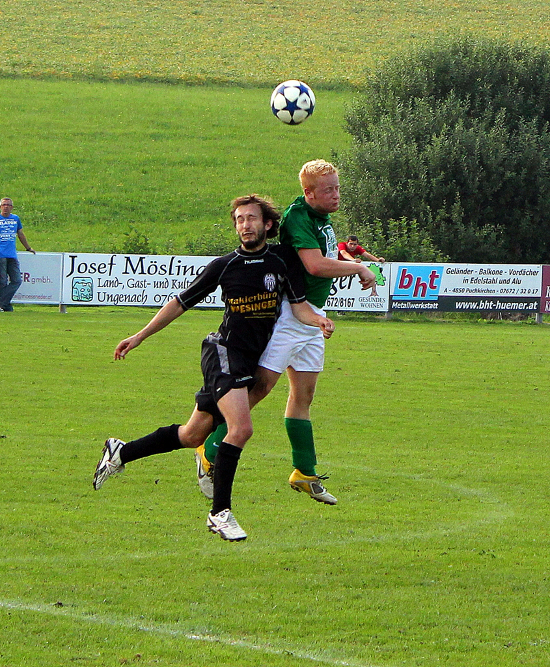 Zell am Pettenfirst Hofkirchen an der Trattnach Stockinger 020912 (3)