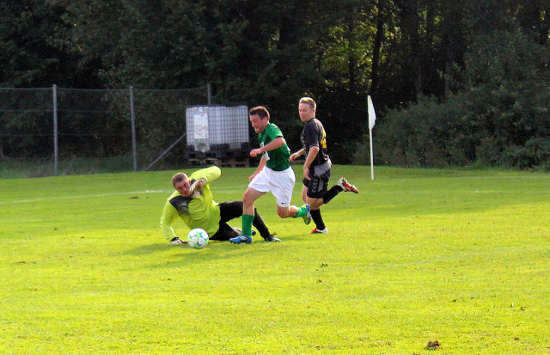 Zell am Pettenfirst Hofkirchen an der Trattnach Stockinger 020912 (4)