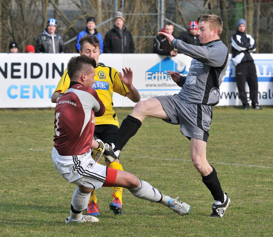 Lembach Koenigswiesen Dostal 230313 (2)