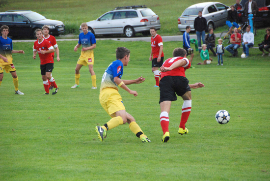 Nebelberg Haslach Prem 010913 (2)