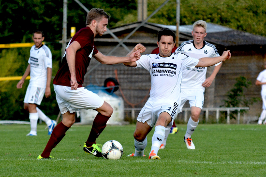 Neukirchen-V Thalheim Waage 170813 (1)