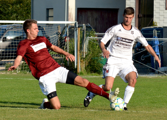 Neukirchen-V Thalheim Waage 170813 (2)