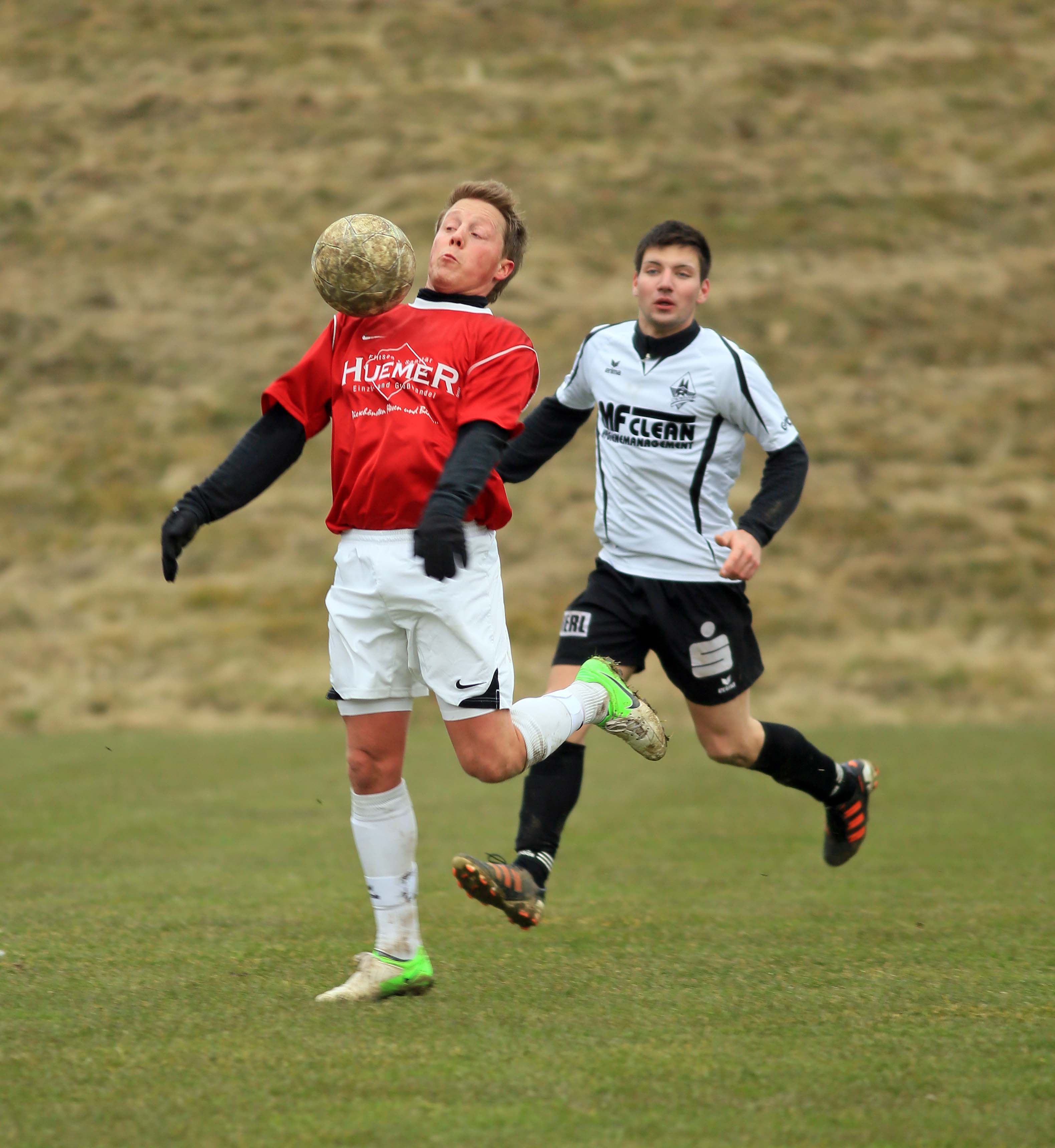 Regau Schwauna Klein4