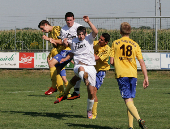 Sierning 1b Reichraming Koenig 170813 (2)