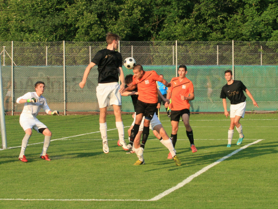 St Marien Bad Hall Koenig 190613 (5)