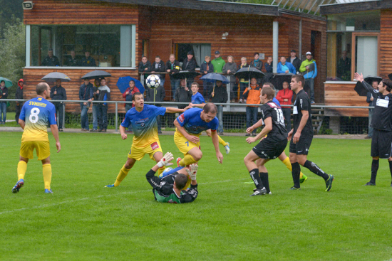 Haslach St Martin i M 1b Schlenkrich 250813 (2)