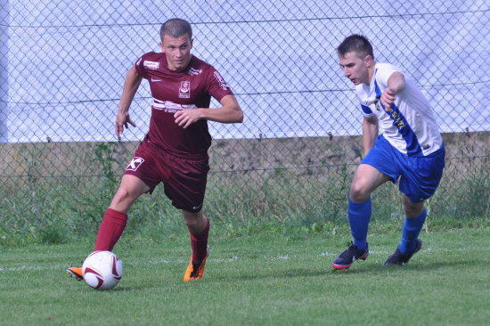 Steyregg Puchenau Truttenberger 010913 (2)