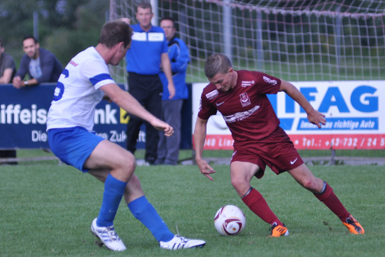 Steyregg Puchenau Truttenberger 010913 (3)