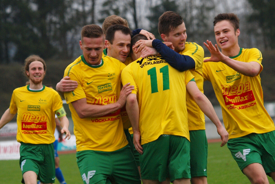 Voecklabruck Schwanenstadt Dannenbaum 200413 (3)