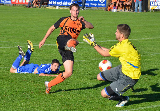 Arnreit Schenkenfelden Lindorfer 280913 (5)