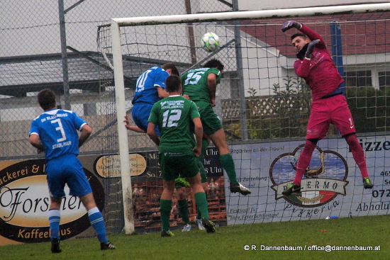 BW Stadl Paura Voecklabruck Dannenbaum 051013 (2)