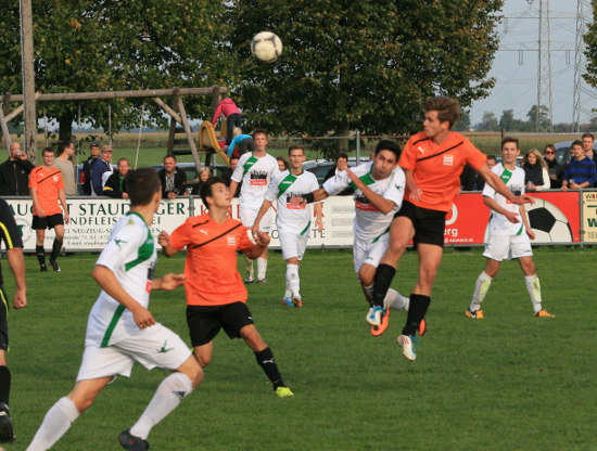 Schiedlberg Bad Hall Koenig 220913 (4)