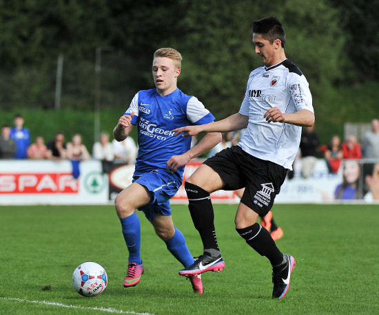 Steyr St Ulrich Dostal 210414 (3)