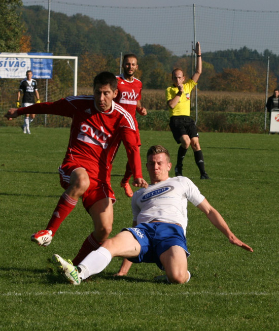 Sierning Edelweiss Koenig 131013 (1)