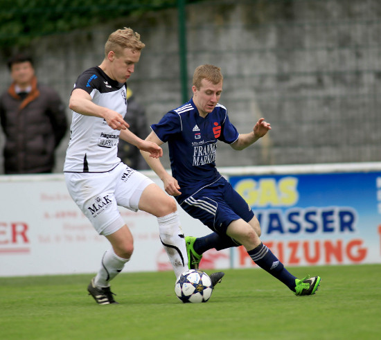 Frankenmarkt Ebensee Klein 110514 (2)