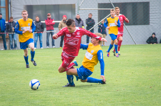 St Martin iM Gmunden Haselgruebler 051013 (2)