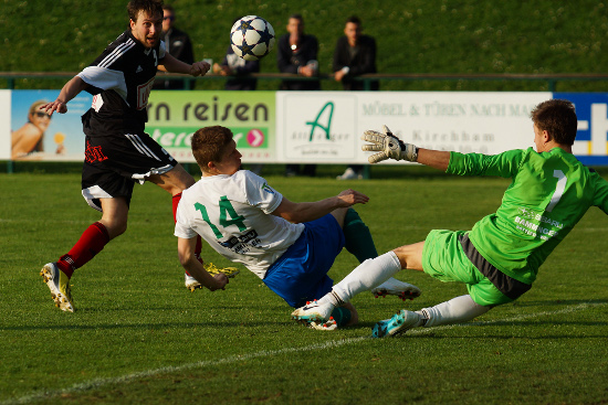 Gschwandt Thalheim Reischenboeck 120414 (3)