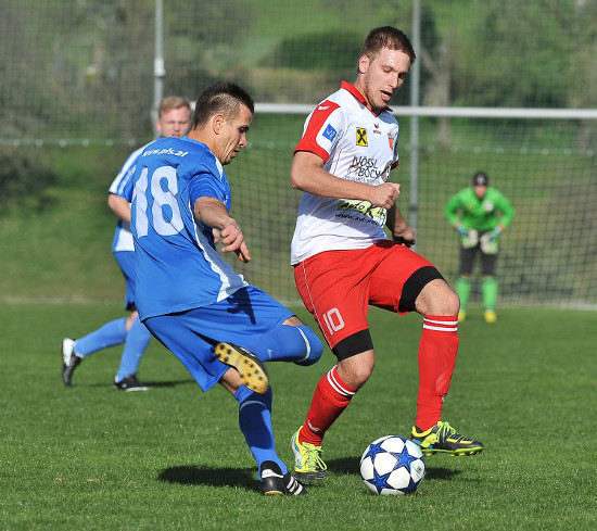 Hofkirchen i M Katsdorf Dostal 300314 (2)