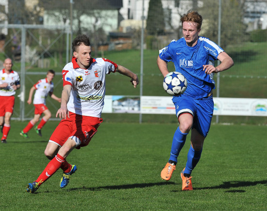 Hofkirchen i M Katsdorf Dostal 300314 (3)