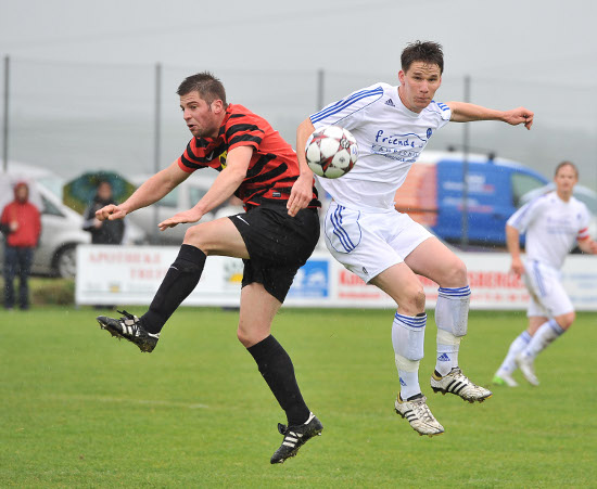 Katsdorf Schweinbach Dostal 030514 (2)