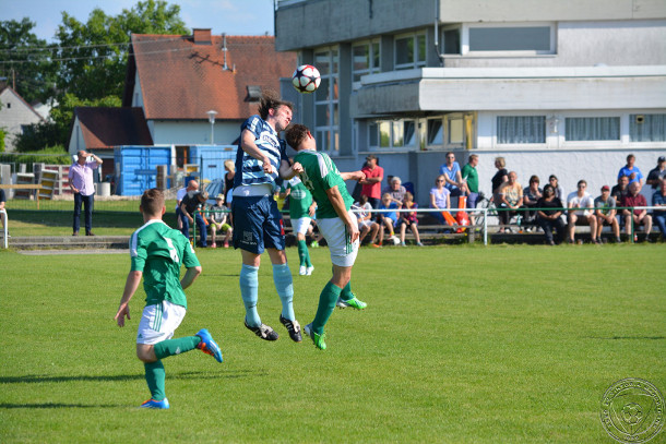 marchtrenk wsc-hertha muehlberger 250514 (2)