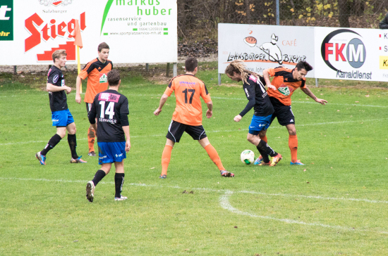 Neuhofen i I St Martin i M Haselgruebler 101113 (3)