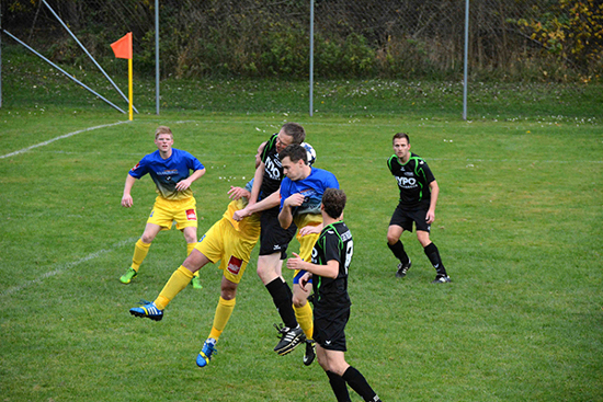 Niederwaldkirchen Haslach Prem 271013 (3)