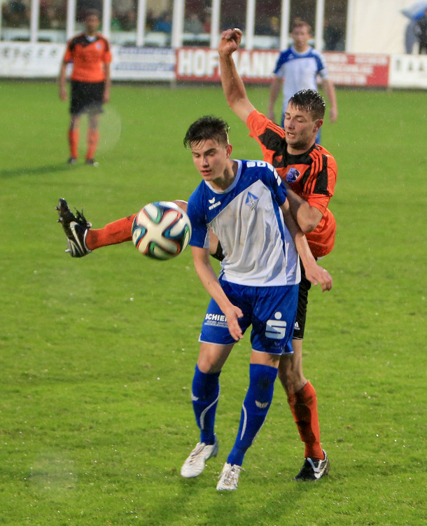 schwanenstadt roitham klein 160514 (2)