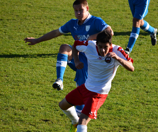 Sipbachzell Blaue Elf Wels Guntendorfer 021113 (2)