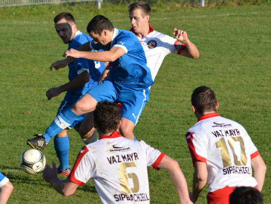 Sipbachzell Blaue Elf Wels Guntendorfer 021113 (3)