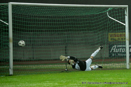 Voecklabruck Schwanenstadt Dannenbaum 251013 (1)