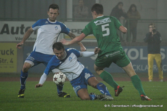 Voecklabruck Schwanenstadt Dannenbaum 251013 (2)