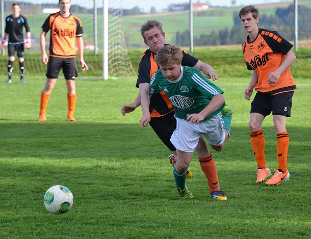 arnreit schenkenfelden lindorfer 260415 2