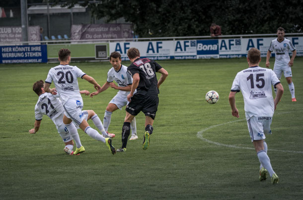 edelweiss st-martin-i-m haselgruebler 090515 2