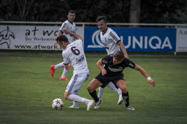 edelweiss st-martin-i-m haselgruebler 090515 3