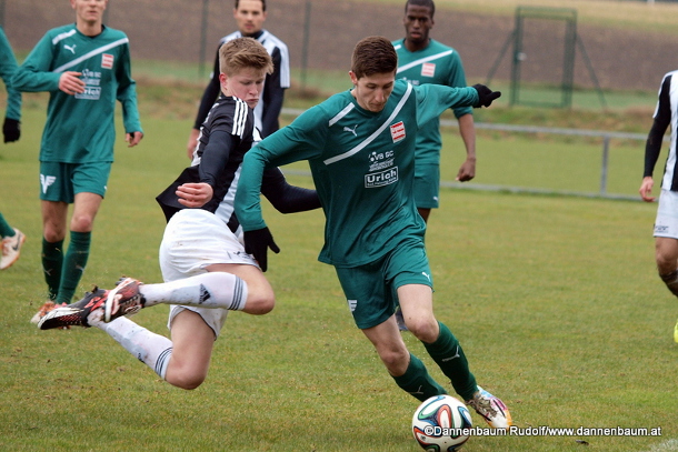 kammer voecklabruck dannenbaum 040415 2