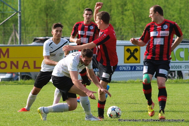 ruestorf voecklabruck dannenbaum 260415 1